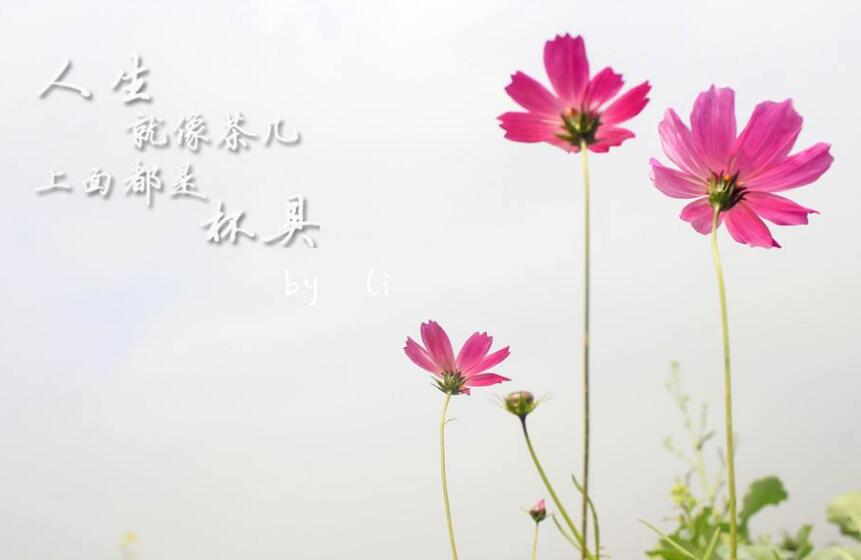 古风简单情侣网名，古风简洁情侣网名 