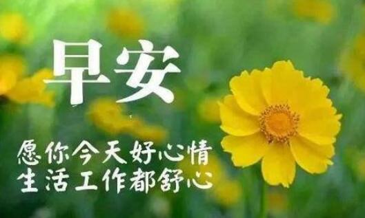 云淡风轻的网名(经典90句) 
