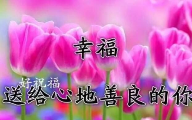 赞美祖国的优美短句，赞美祖国的优美 